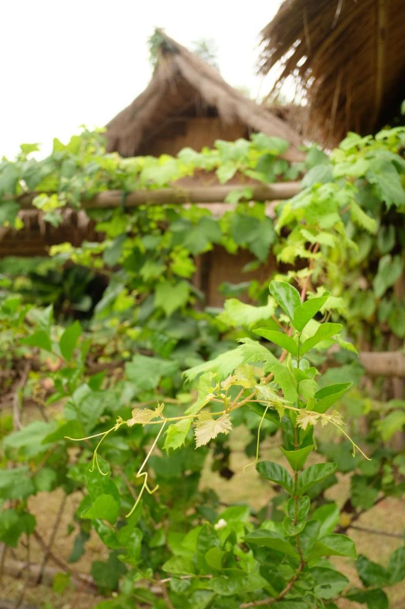 Отель Royal Mountain Hut Ratchaburi Номер фото