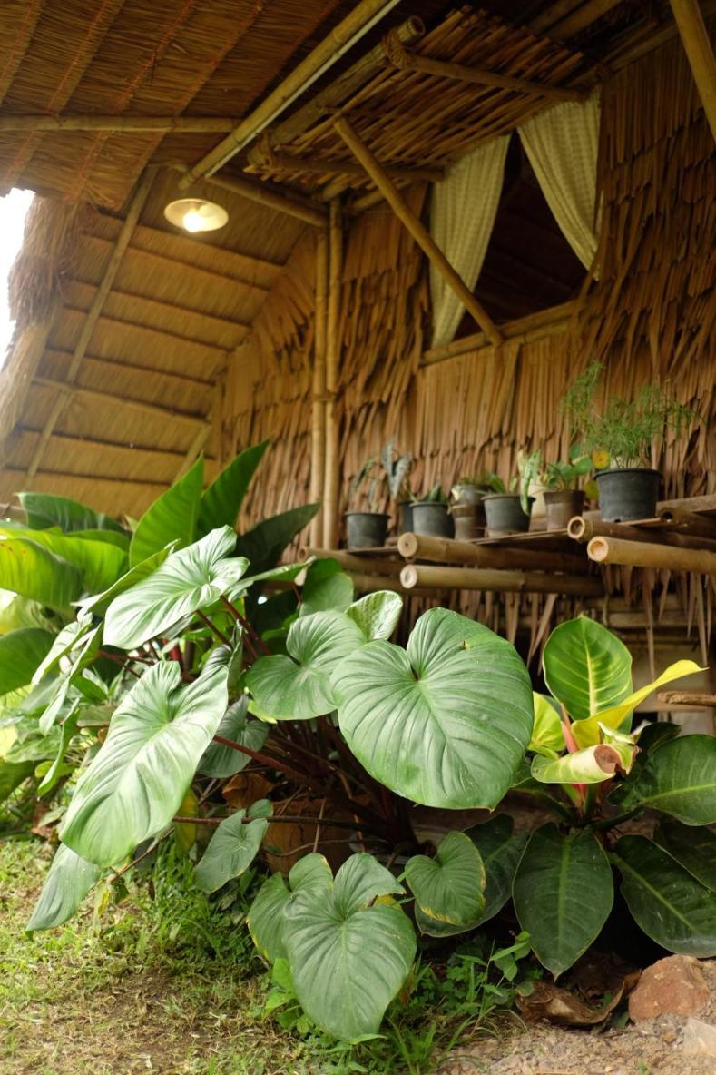 Отель Royal Mountain Hut Ratchaburi Номер фото